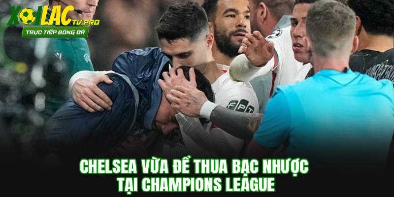 Chelsea vừa để thua bạc nhược tại Champions League