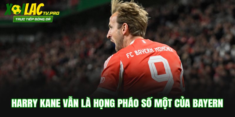 Harry Kane vẫn là họng pháo số một của Bayern