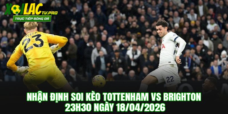 Nhận Định Soi Kèo Tottenham vs Brighton 23h30 Ngày 18/04/2026