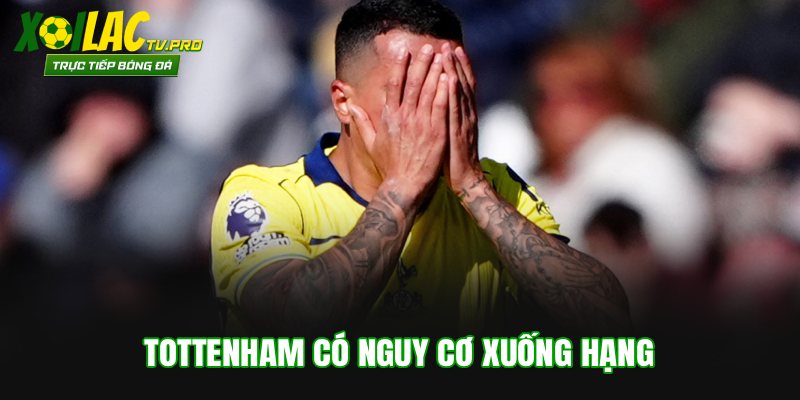 Tottenham có nguy cơ xuống hạng