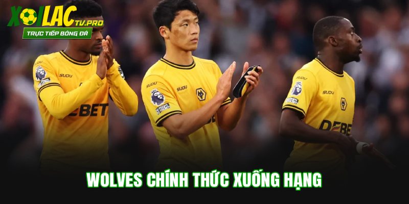 Wolves chính thức xuống hạng