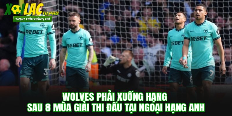 Wolves phải xuống hạng sau 8 mùa giải thi đấu tại Ngoại hạng Anh